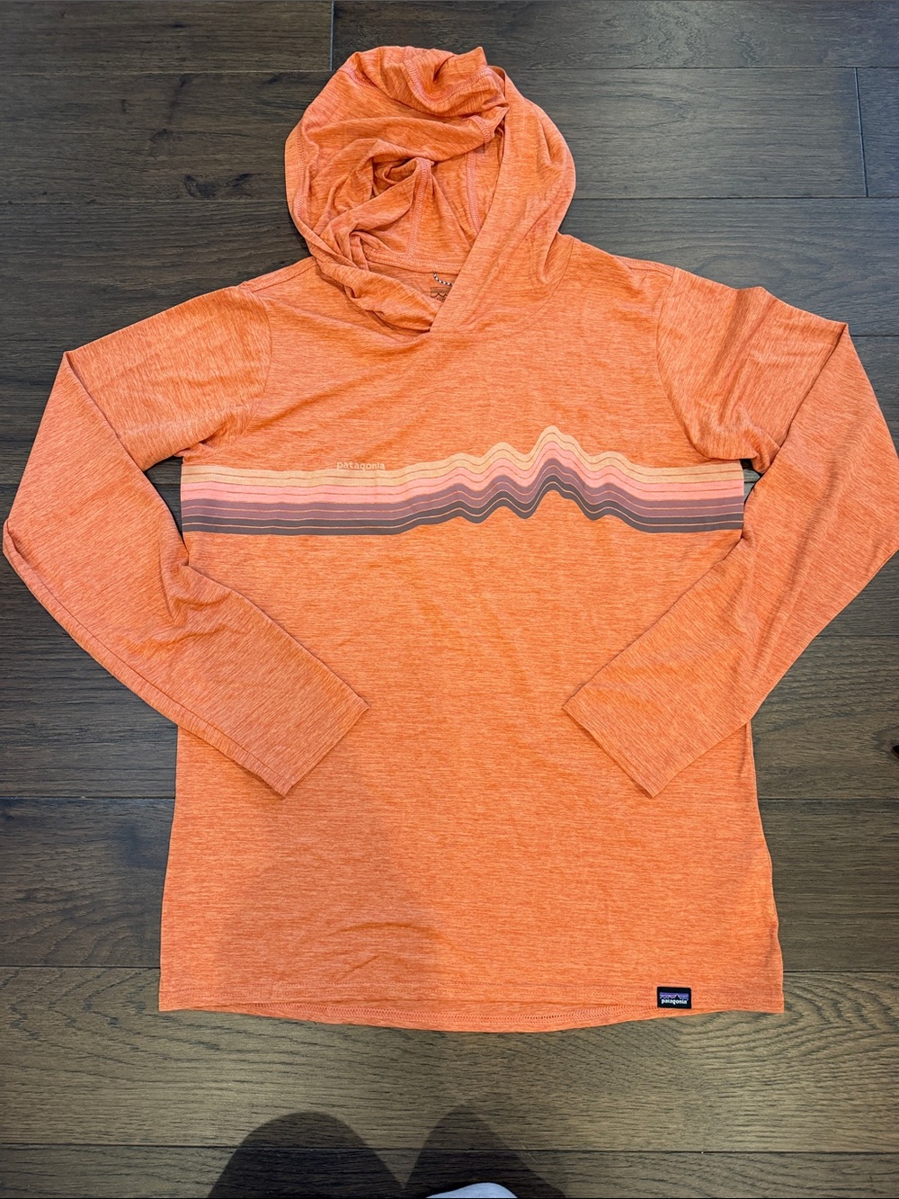 Patagonia Capilene Cool Daily Graphic Hoody Women’s Size Small - C76-045